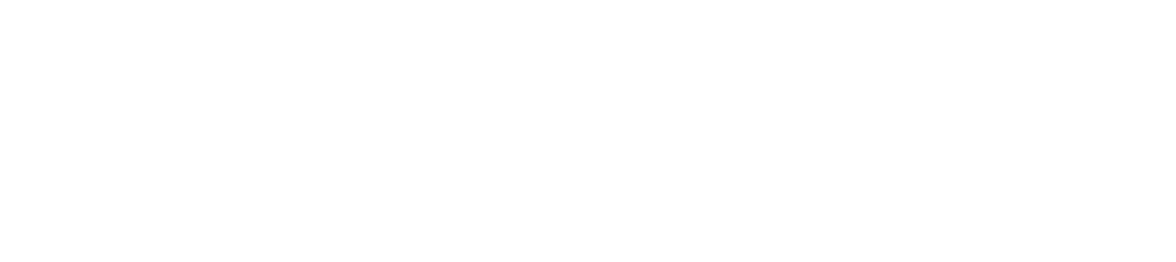VISID